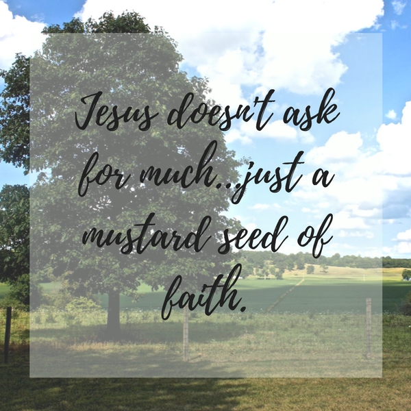 mustard seed faith